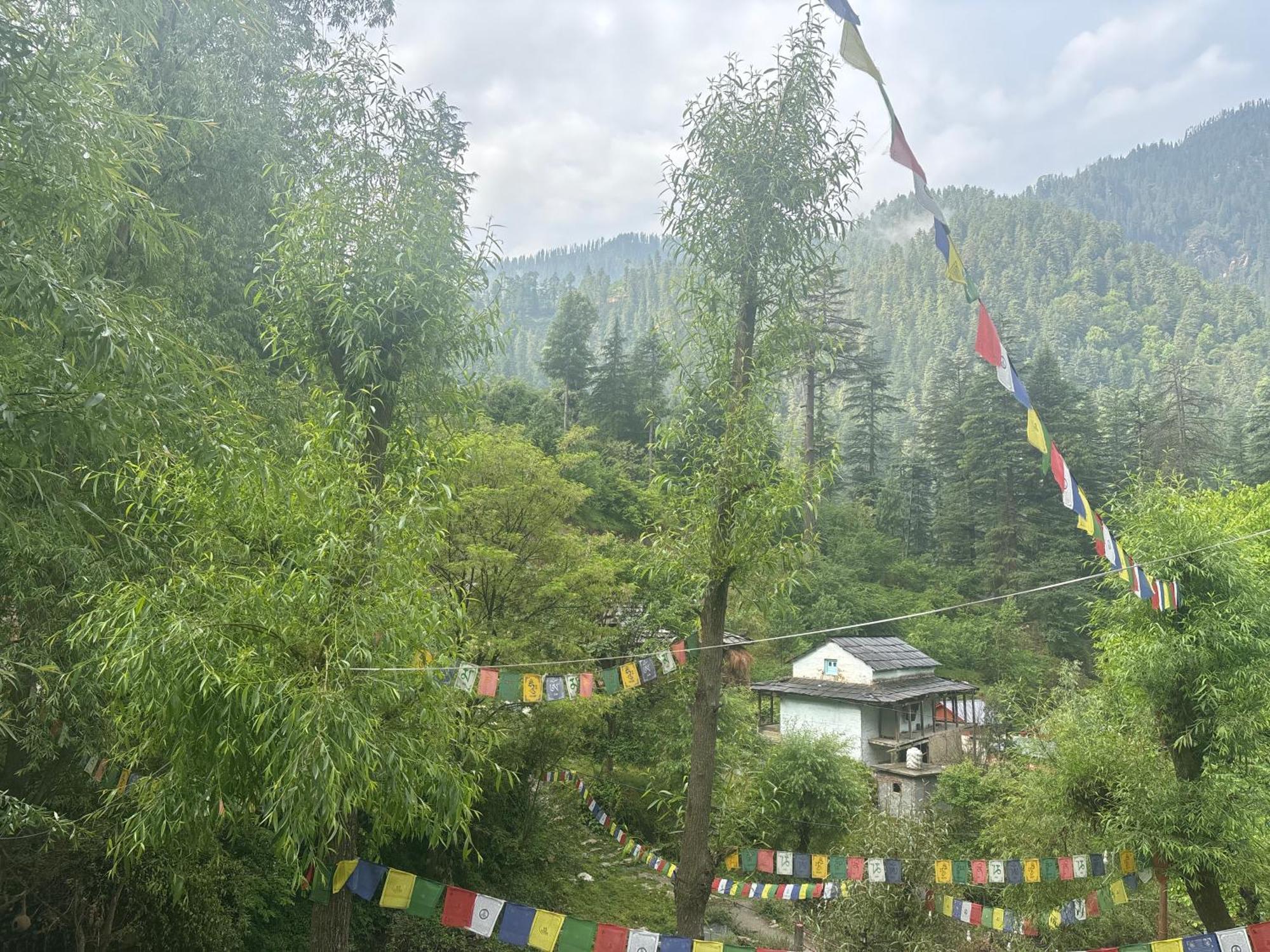 The Cozy Cabin, Jibhi Banjār المظهر الخارجي الصورة