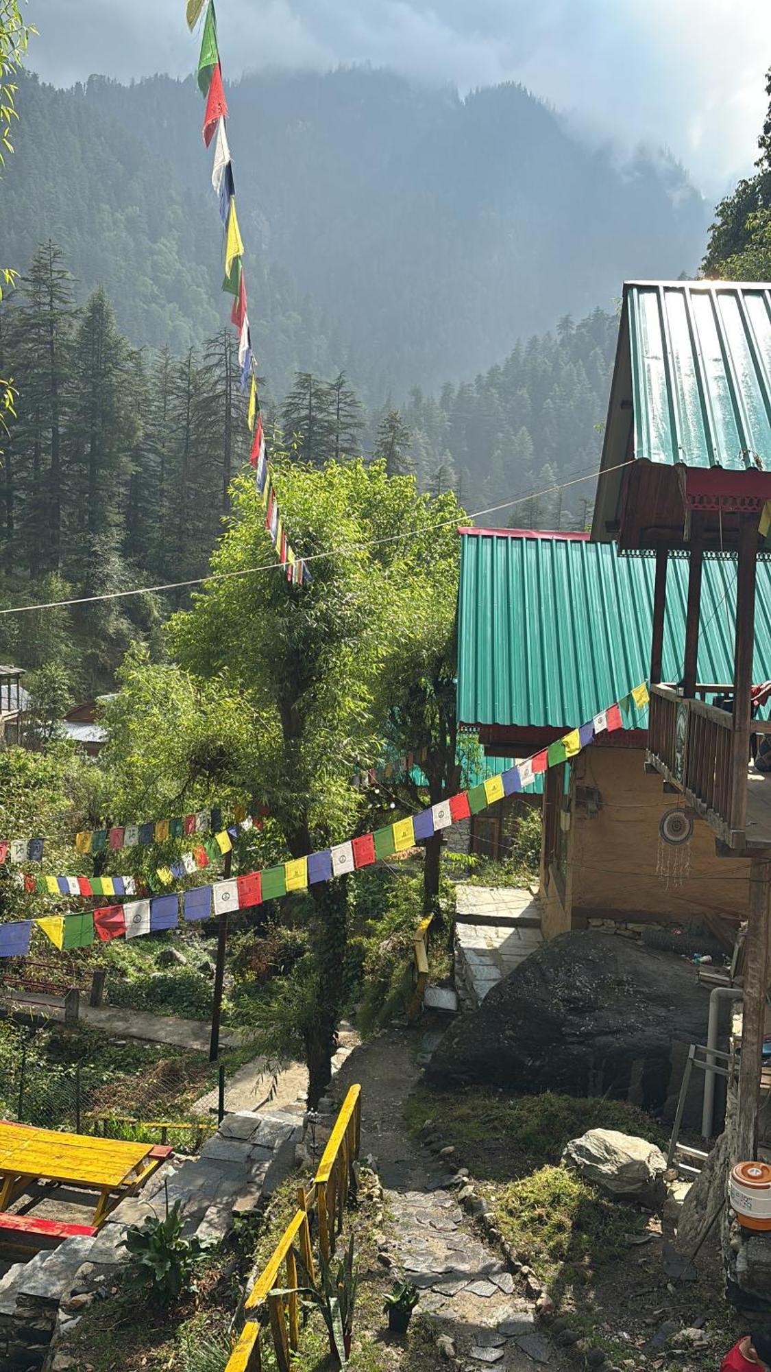 The Cozy Cabin, Jibhi Banjār المظهر الخارجي الصورة
