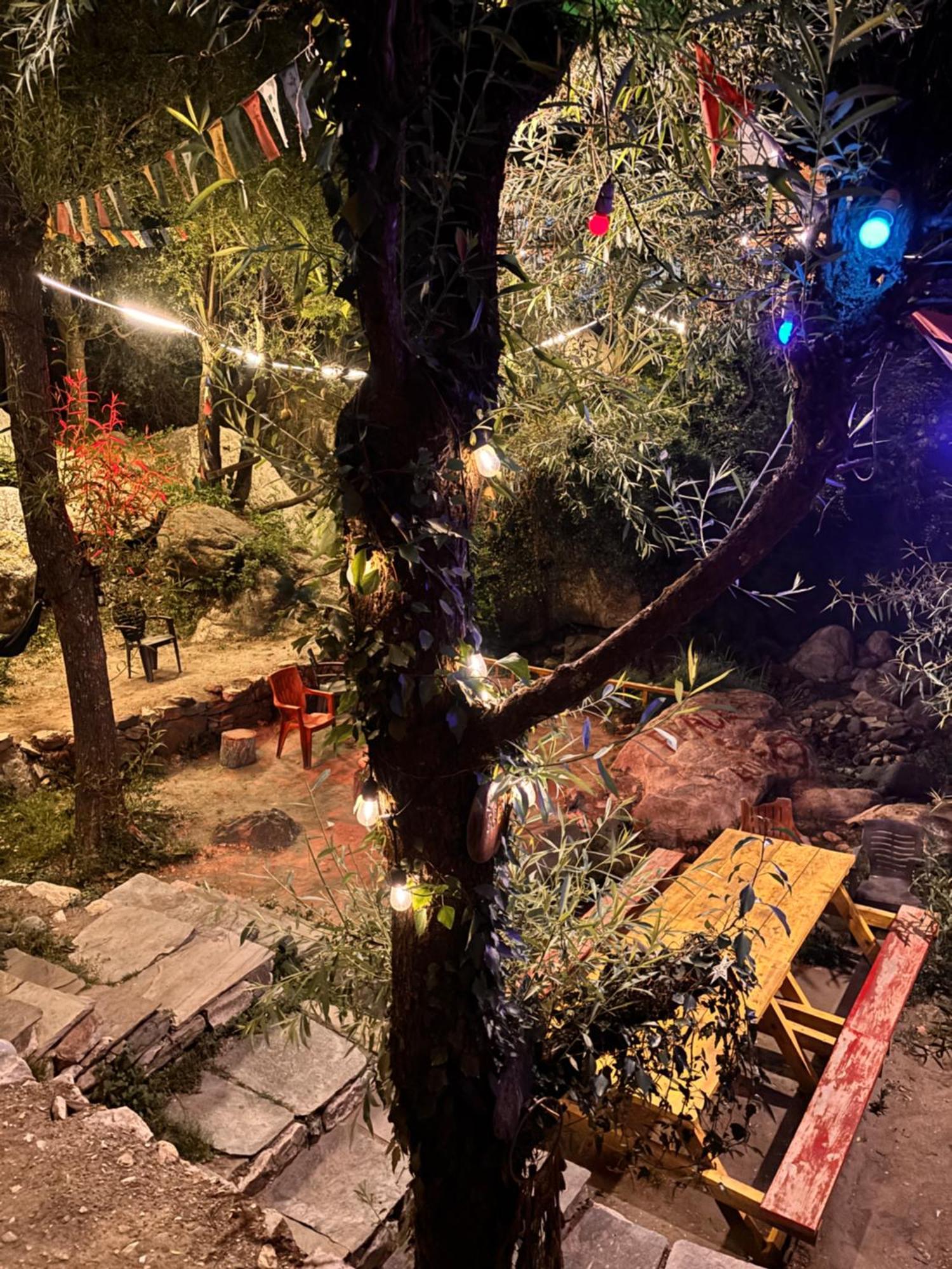 The Cozy Cabin, Jibhi Banjār المظهر الخارجي الصورة